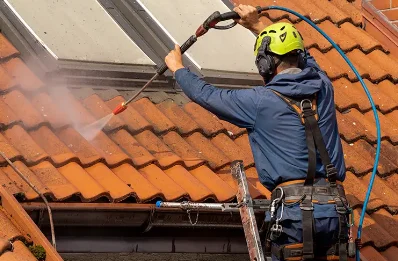 Démoussage et hydrofuge de toiture au Landin